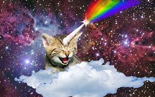 Image result for Funny Galaxy Cat