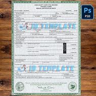 Image result for Illinois Death Certificate