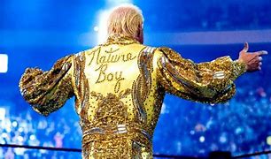 Image result for Classic WWE Wrestlers