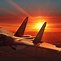 Image result for NetJets Plane Sunset