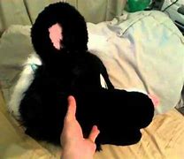 Image result for Animatronic Skunk Chase Ball