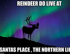 Image result for Northern Star Memes