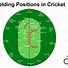 Image result for Cricket Diagram