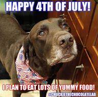 Image result for July 4th Dog Meme