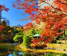 Image result for Autumn in Tokyo Photography Book