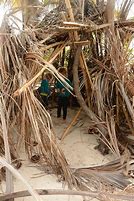 Image result for sandy island, western australia