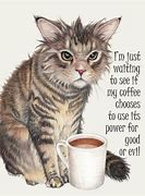Image result for Coffee a Must Funny