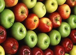 Image result for Apple the Fruit