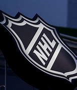 Image result for NHL National Hockey League