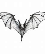 Image result for Bat Illustration