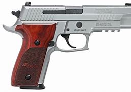 Image result for 40SW Pistols