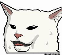 Image result for Cool Cat Face Meme