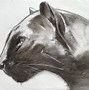 Image result for Panther Line Art
