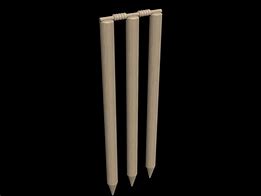 Image result for 3D Cricket Stump