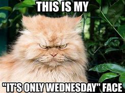 Image result for Happy Wednesday Adult Meme