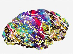 Image result for Universe Brain Art