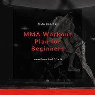 Image result for MMA Workout Plan