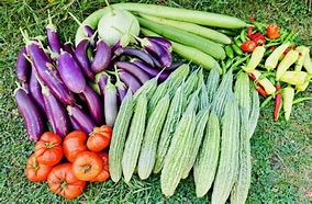Image result for Local Vegetables in the Northeast Region