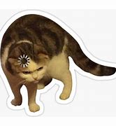 Image result for Cat Printer Meme