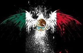 Image result for Mexican iPhone 8s Case
