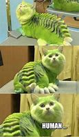 Image result for Cat Hands Meme