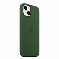 Image result for iPhone XR with Mint Green Silicone Case