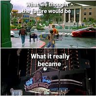 Image result for BTTF Meme