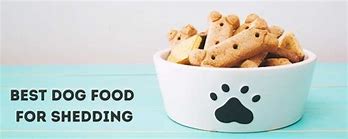 Image result for Best Food for Shedding Dogs