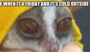 Image result for Cold Friday Meme