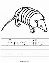Image result for Armadillo Worksheets