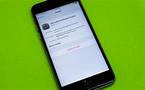 Image result for iOS Beta History