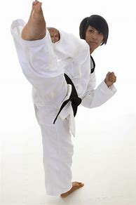 Image result for Karate Punch