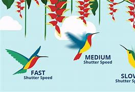 Image result for Shutter Speed in Camera