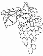 Image result for Vineyard Vines Coloring Pages