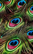 Image result for Lenovo Peacock Feather Wallpaper