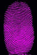 Image result for Fingerprint Photography