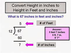 Image result for Height in Inches