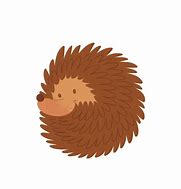 Image result for Hedgehog Curled Up Clip Art