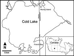 Image result for CFB Cold Lake