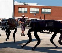 Image result for Robot Voice for Dog