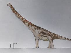 Image result for French Monster Titanosaur