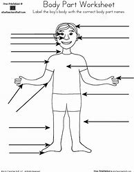 Image result for Human Body Parts Label Worksheet