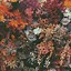 Image result for Cute VSCO Fall Wallpapers