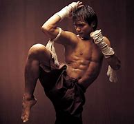 Image result for Martial Arts