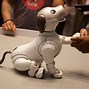 Image result for What Is Aibo