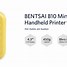 Image result for Portable Inkjet Printer