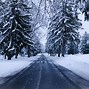 Image result for Winter Forest Night Wallpaper