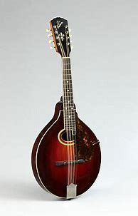 Image result for Acoustic Mandolin
