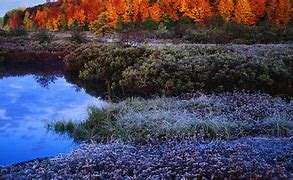Image result for Bing Desktop Autumn