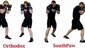 Image result for Low Fighting Stance